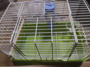 福樂(lè )貝特鸚鵡外帶籠外出包虎皮玄鳳珍珠鳥(niǎo)便攜小鳥(niǎo)籠倉鼠蜜袋鼯手提外出籠 大號基礎套餐 曬單實(shí)拍圖