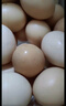 白蕩里高品質(zhì)土雞蛋蟲(chóng)草蛋鮮蛋  營(yíng)養健康現撿現發(fā) 土雞蛋20枚 曬單實(shí)拍圖