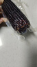 京鮮生 東北黑糯玉米220g*10棒 新鮮甜糯玉米棒真空包裝粘玉米 源頭直發(fā) 曬單實(shí)拍圖