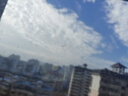 蒙牛純甄原味風(fēng)味酸奶200g*24盒 早餐佐餐送禮盒裝 曬單實(shí)拍圖