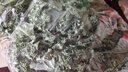 千牛優(yōu)福新鮮羽衣甘藍(lán) 嫩葉kale甘蘭健身榨汁蔬菜西餐食材蔬菜沙拉 3斤 曬單實(shí)拍圖