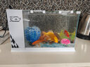 長(zhǎng)銳（CHANGRUI）側(cè)濾魚(yú)缸桌面辦公室免換水生態(tài)水草超白水族箱 K400造景版【長(zhǎng)41 寬22 高29】 曬單實(shí)拍圖