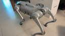 宇樹(shù)（Unitree）Go2 Air 機器狗 AI大模型 四足機器人 仿生陪伴機器人 具身智能  電子寵物 高端禮物 曬單實(shí)拍圖