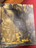 小騎士貓頭鷹 英文原版 Knight Owl 精裝 當代經(jīng)典繪本 親子睡前故事 2023凱迪克銀獎 搭不知所措的小狗 漿果之歌 西洋菜 小騎士貓頭鷹 曬單實(shí)拍圖