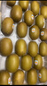 佳沛（zespri）新西蘭  陽(yáng)光金奇異果25-27粒原箱特大果單果約122-146g  獼猴桃 曬單實(shí)拍圖