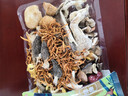 趙鐵生山珍禮盒800g五罐裝鹿茸菌滑子菇秋耳高端菌菇干貨節日禮物團購 曬單實(shí)拍圖