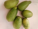 新鮮無(wú)籽青檸檬 果香濃郁小青檸香水檸檬檸檬茶鮮檸檬 香水青檸檬【單果≥60g】1斤 曬單實(shí)拍圖