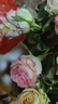 玫瑰鮮切花一扎也批發(fā)云南基地直發(fā)節日花材高鮮花批發(fā)擺攤 愛(ài)莎 10枝玫瑰鮮花+品牌保鮮劑 曬單實(shí)拍圖