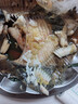 賣(mài)魚(yú)七郎 多寶魚(yú)凈重2.1斤共3條裝 海捕鮮活冷凍比目魚(yú)鰈魚(yú) 生鮮水產(chǎn)魚(yú)類(lèi) 曬單實(shí)拍圖