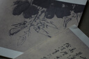 頂級書(shū)畫(huà)名家杰作復制精選——徐渭 曬單實(shí)拍圖