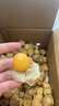 果亞多順豐東北姑娘果5斤大果新鮮當季水果整箱特產(chǎn)燈籠果小金豆甜菇娘A 2斤 順豐包郵丨顆顆香甜丨商超品質(zhì) 曬單實(shí)拍圖