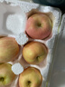 蘋(píng)之都煙臺紅富士蘋(píng)果水果新鮮整箱平果脆甜棲霞紅富士山東特產(chǎn)禮盒 紅富士?jì)糁?.5斤75mm 曬單實(shí)拍圖