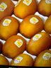 佳沛（zespri）新西蘭佳沛奇異果陽(yáng)光金果奇異果黃心獼猴桃新鮮孕婦寶寶水果禮盒 【禮盒】16顆特大果單果108-120g 曬單實(shí)拍圖