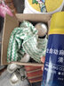 BR麻將清洗劑專用免擦清洗麻將噴劑家用自動(dòng)麻將清洗麻將清潔劑 一箱12瓶雀之王強(qiáng)力清洗劑+4抹布 曬單實(shí)拍圖