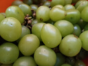 陽(yáng)光玫瑰葡萄晴王青提香水提子新鮮現摘時(shí)令水果無(wú)籽脆甜多汁 帶箱5斤/凈重4-4.5斤/12g+ 曬單實(shí)拍圖