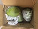 【批發(fā)價(jià)】四川攀枝花凱特芒果新鮮水果當季大青芒水果 帶箱9-10斤巨無(wú)霸【單果600g起】 曬單實(shí)拍圖