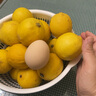 uncle lemon新鮮檸檬四川特產(chǎn)安岳水果榨汁泡茶切片整箱奶茶店果茶產(chǎn)地直供 20個(gè)（單果重量50-80g） 曬單實(shí)拍圖