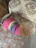 MIKI PAD狗狗衣服春秋條紋針織背心貓咪衣服寵物小型犬透氣比熊泰迪雪納瑞 彩虹條紋毛衣 L 胸圍43cm(參考體重10-15斤) 曬單實拍圖