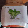 富爸爸切件泡菜1.05kg/瓶 韩式酸辣白菜泡菜 爽口下饭菜 实拍图