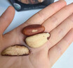 柚柒天鮑魚(yú)果帶殼巴西堅果新貨原味無(wú)添加零食新疆特產(chǎn)富硒沙漠果 【精選罐裝】鮑魚(yú)果250g*1（0添加 無(wú)碎果） 曬單實(shí)拍圖