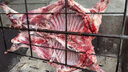 杞樂康 寧夏山羊肉 整只 精品黑山羊30斤禮盒 烤全羊燉煮食材 源頭直發(fā) 曬單實(shí)拍圖