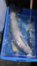 魚海小旋風窩顆粒通殺黑坑水庫湖泊大物青魚草魚黑脘打窩底料釣餌魚餌 小旋風果香窩(8毫米) 曬單實拍圖