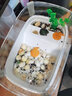 威畢烏龜缸專用飼養(yǎng)生態(tài)缸別墅巴西龜帶曬臺家用魚缸養(yǎng)龜箱屋鱷龜 防逃逸烏龜缸白色小號造景套餐 曬單實拍圖