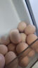 工廠(chǎng)-鮮雞蛋土雞蛋現撿現發(fā)40g正負5g/枚生鮮京東新鮮早餐溏心蛋 10枚 曬單實(shí)拍圖