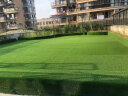 婉和 仿真草坪人造假草坪绿植地毯室外户外阳台绿植塑料假草皮草坪垫胶 加厚加密15mm/5平方 实拍图