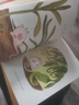 二手花園小象波米諾 雷蒙娜·巴蒂斯庫；邦雅曼·肖 978751332074 曬單實(shí)拍圖
