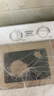 澳柯瑪（AUCMA）洗衣機(jī)半自動(dòng)波輪 8公斤大容量雙缸雙桶洗衣機(jī) 鋼化玻璃面板家用租房優(yōu)選洗滌脫水分離 【店鋪沖量】XPB80-8918S 曬單實(shí)拍圖