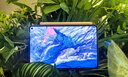 HUAWEI MatePad Mini 華為平板電腦 8.8英寸小平板 大手機 OLED屏  SIM卡版 可通話(huà) 12GB+256GB雪域白 曬單實(shí)拍圖