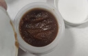 Fresh馥蕾詩(shī)澄糖亮顏柔滑磨砂面膜30g護膚去角質(zhì) 生日禮物送女友男友 曬單實(shí)拍圖