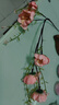 時(shí)鳥(niǎo)輕奢仿真花擺設杜鵑花假花客廳餐桌裝飾花束花藝家居擺件品 【搭配款】杜鵑花 1束【5朵】 曬單實(shí)拍圖