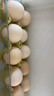 正大食品【禮盒】富硒鮮雞蛋30枚1.68kg 曬單實(shí)拍圖