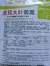 鳳鳴雅世大葉茼蒿種子四季家庭陽臺(tái)種子速生葉菜種子虎耳大葉茼蒿種子50克 曬單實(shí)拍圖