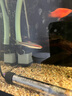 SOBO魚缸水泵潛水泵魚缸潛水泵AT302S AT303S AT304S AT305S AT306S 創(chuàng)星AT302s+1m水管 曬單實拍圖
