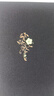 傲慢與偏見(jiàn) 曬單實(shí)拍圖