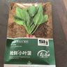 壽禾 菠菜種子種苗小葉秋季栽培蔬菜種籽 搶鮮小葉菠菜種子30g/袋*3 曬單實拍圖
