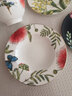 德國唯寶（Villeroy&Boch）亞馬遜系列 進(jìn)口歐式骨瓷餐具套裝碗碟家用 喬遷禮物結(jié)婚禮物 4人食 10頭 曬單實(shí)拍圖