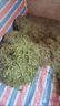 豫滎致富鍘草機家用養(yǎng)殖牛羊打草機碎草機萬能粉碎機飼料養(yǎng)殖揉絲機粉草機 【高性價比】3噸7刀款+220v5.5kw 曬單實拍圖