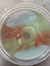 金魚(yú)草金魚(yú)觀(guān)賞魚(yú)冷水好養耐活小魚(yú)苗錦鯉 5-7cm 紅草金買(mǎi)3條送3條（加備損） 曬單實(shí)拍圖