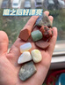 卡布豆科學(xué)磨石罐頭機(jī)兒童玩具禮寶石收藏手工DIY小學(xué)生制作小實(shí)驗(yàn)套裝 寶石磨石機(jī)+巴西熱帶雨林拓展包 曬單實(shí)拍圖