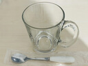 鷗欣進(jìn)口玻璃杯子家用水杯帶把茶杯帶蓋帶勺杯牛奶杯早餐杯耐熱 320ml 進(jìn)口玻璃把杯 無(wú)蓋送勺子 曬單實(shí)拍圖