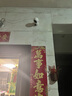 XMSJ家用智能帶屏監控攝像頭360度全景無(wú)死角無(wú)線(xiàn)夜視雙向視頻通話(huà)對講AI人形偵測遠程看護室內監控器 【無(wú)需連wifi終身免流量】4G雙攝+30天循環(huán) 一鍵通話(huà)丨手機遠程看護老人兒童丨曬單送豪禮 曬單實(shí)拍圖