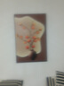 柿柿如意裝飾畫(huà)客廳沙發(fā)背景墻壁畫(huà)入戶(hù)玄關(guān)畫(huà)寓意好走廊過(guò)道掛畫(huà) 柿柿如意A a50*70cm 【噴繪 油畫(huà)布】啞光效 曬單實(shí)拍圖