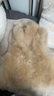 MSBEAST野獸小姐 軟黃金山羊絨皮毛一體立領(lǐng)皮草馬甲/外套女短丨松絨暖爐 杏仁奶駝（馬甲） S 曬單實(shí)拍圖