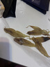 北海印象大口赤嘴鳘魚膠花膠干貨深海公膠100g孕產(chǎn)滋補送禮禮品節(jié)日禮物 M級大口膠100克約12個 曬單實拍圖