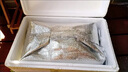 一穗堂Q彈拇指包 素食 兒童早餐包子醬香口味240克/袋 Q彈拇指包*1袋（12克*20個） 曬單實拍圖