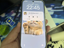 小米（MI）小米 17 Pro 妙享背屏 徠卡光影大師 第五代 驍龍 8 至尊版 森野綠 16GB+512GB 5G手機 曬單實(shí)拍圖